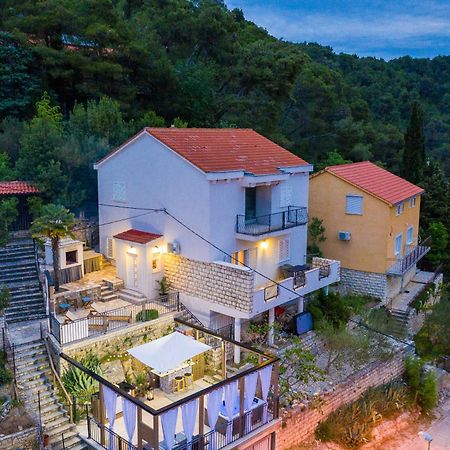 Villa Calendula Novigrad  Exterior photo