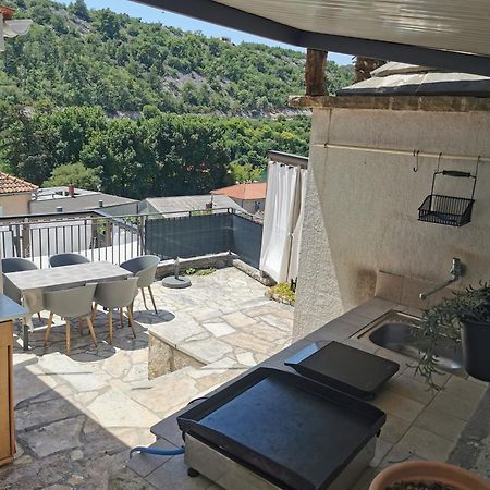 Villa Calendula Novigrad  Exterior photo