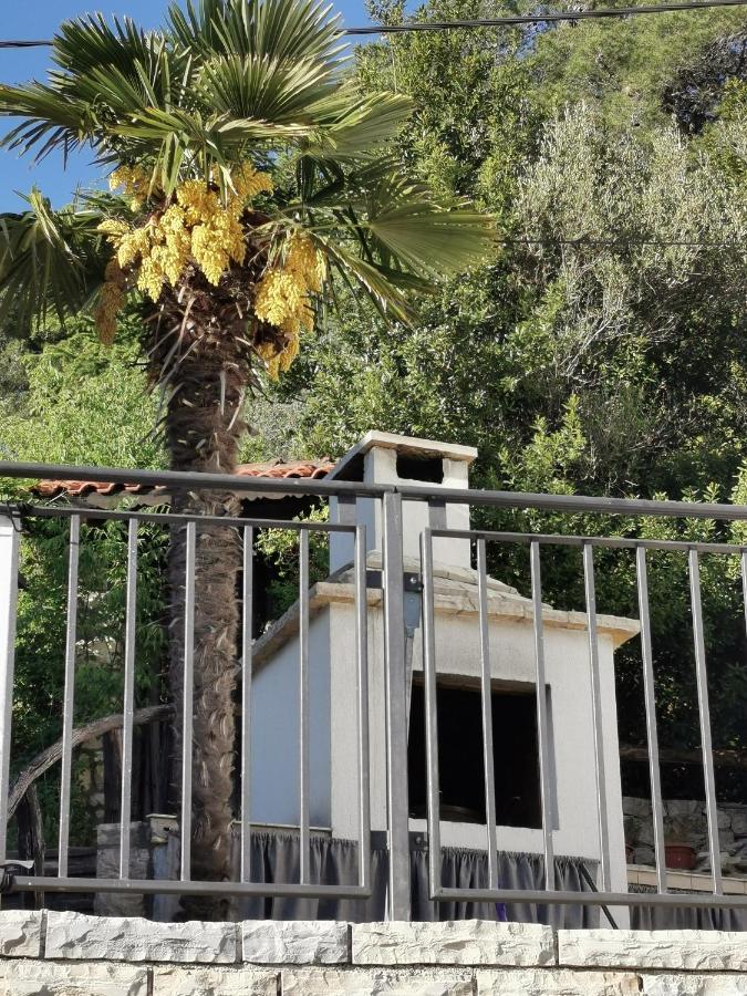 Villa Calendula Novigrad  Exterior photo