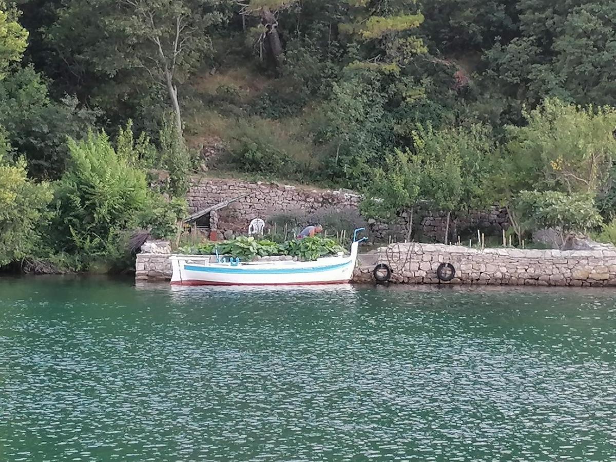 Villa Calendula Novigrad  Exterior photo